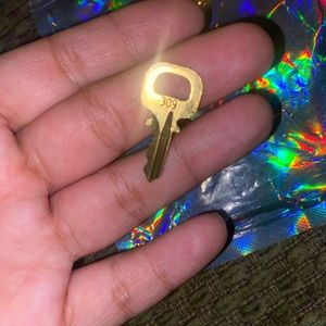 Louis Vuitton key number 309